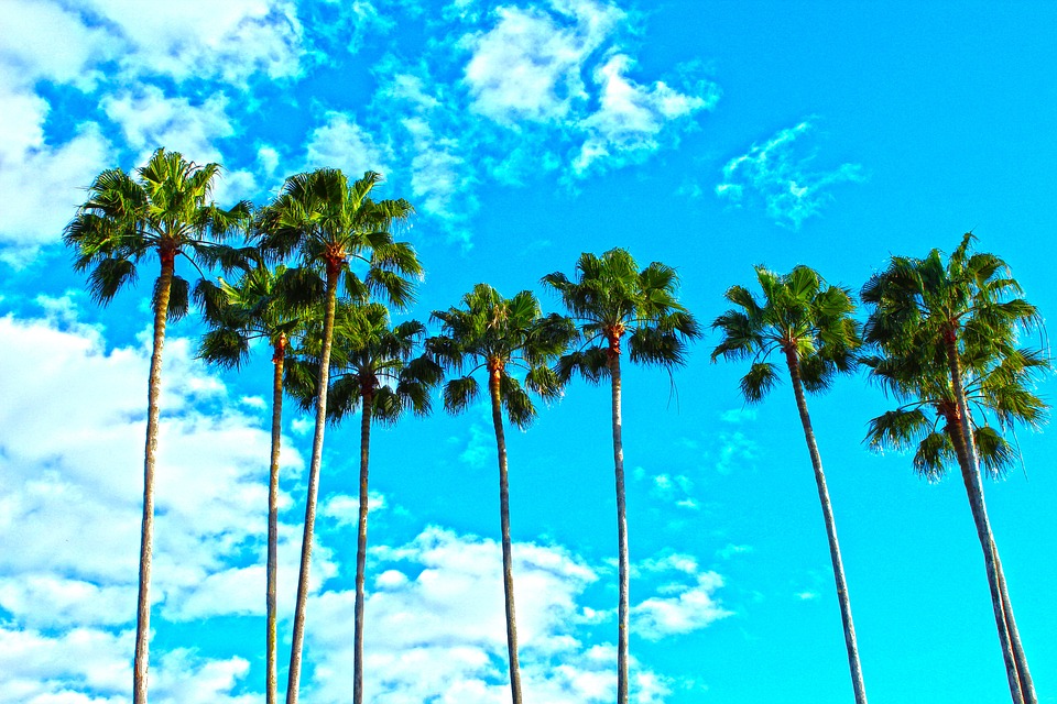 voyage en Floride