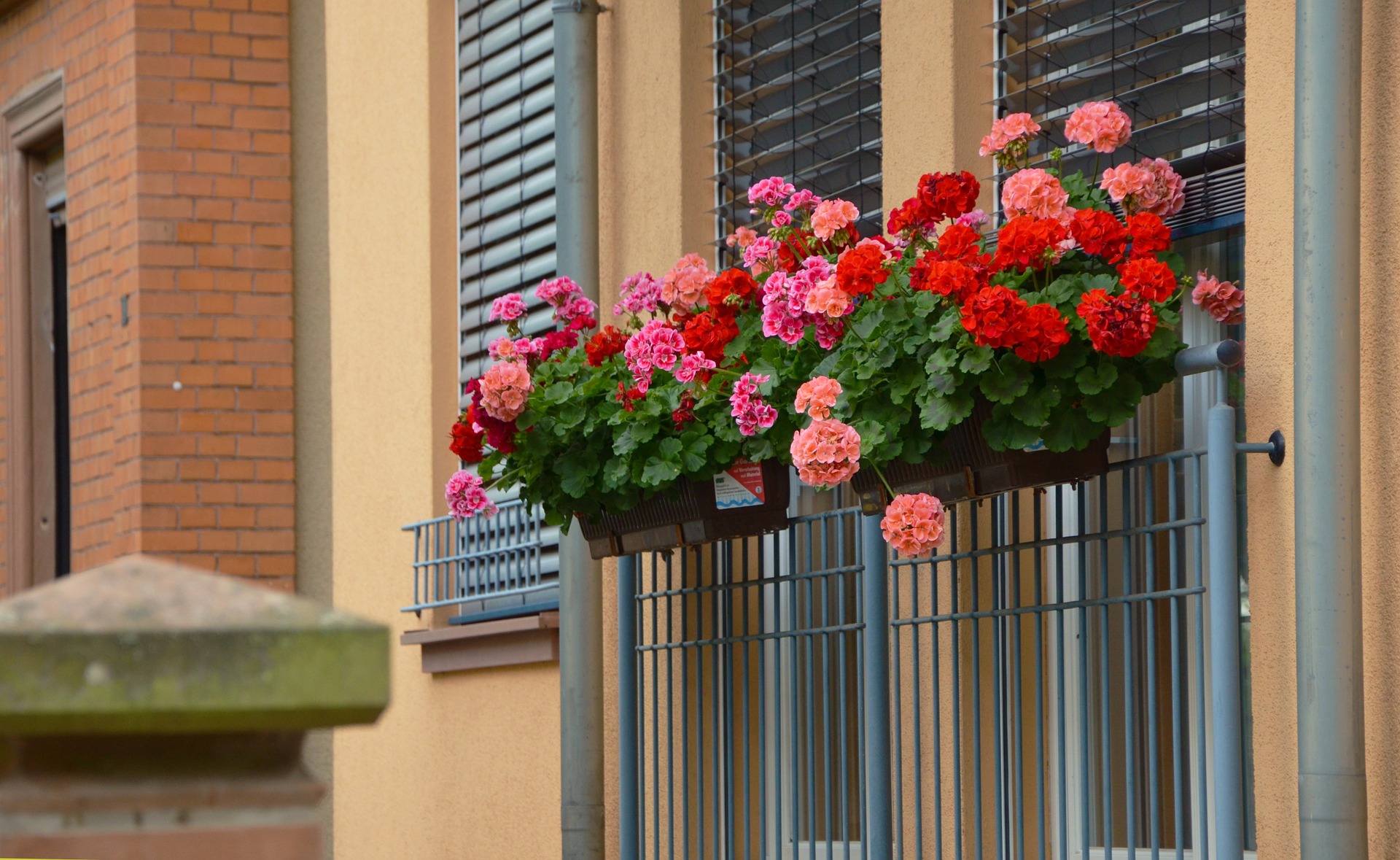 Pourquoi de nombreux particuliers privilégient la jardinerie en ligne ?