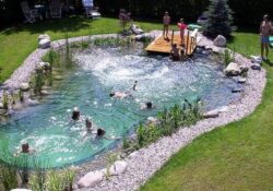 piscine naturelle