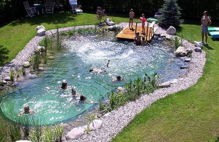 piscine naturelle